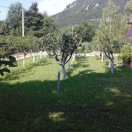 Orao Bihać